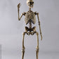 [Indent] Coomodel Human Skeleton (diecast)